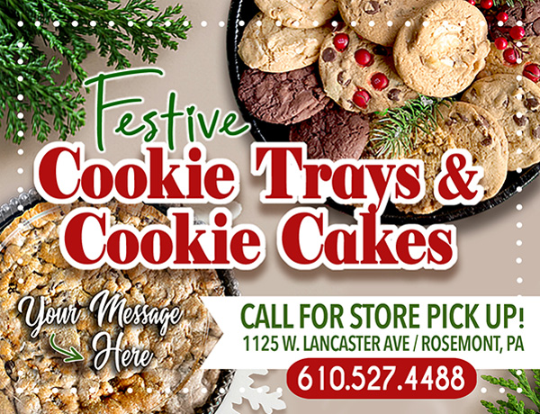 Holiday cookie gifts